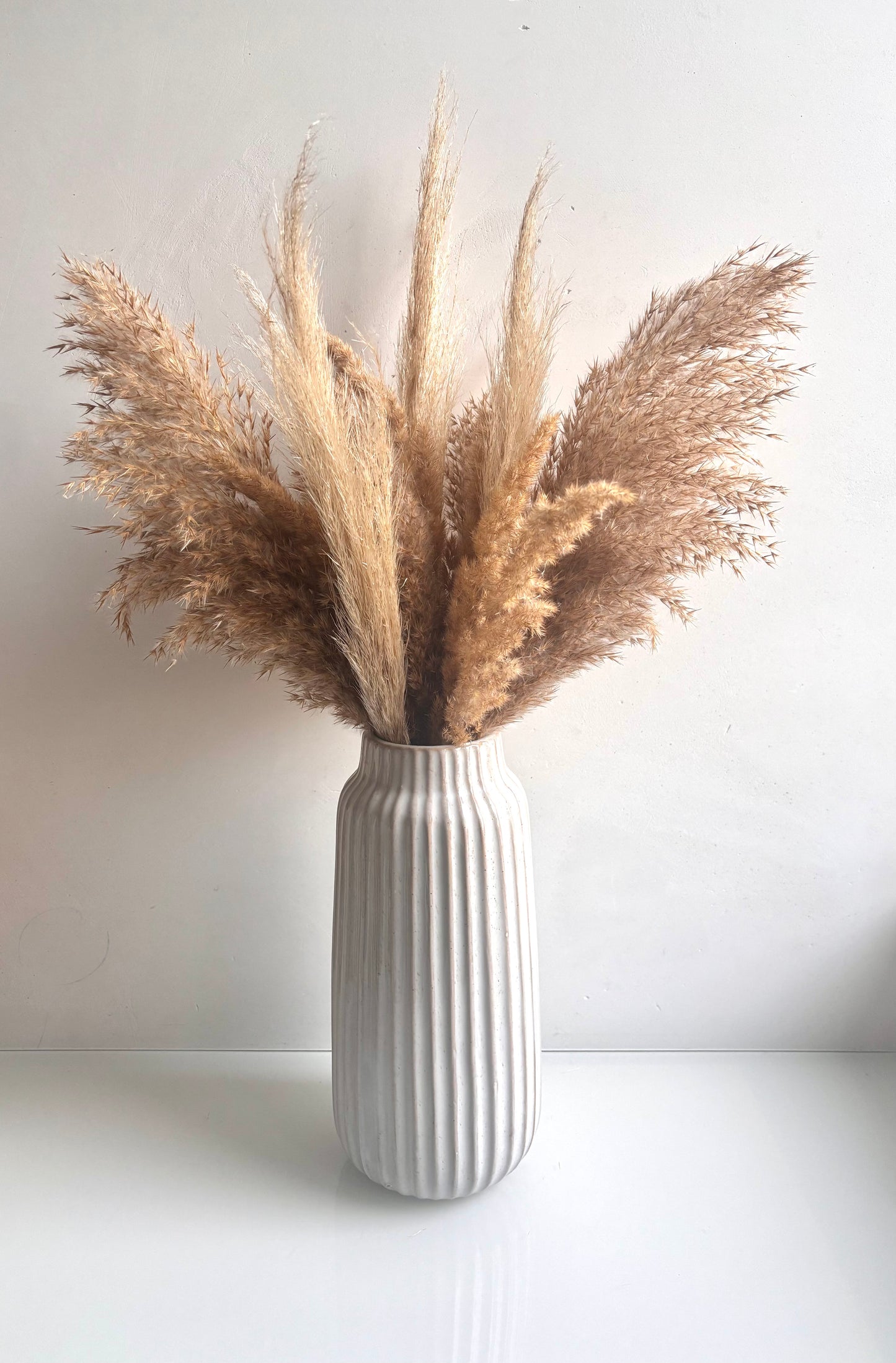 OK - Grote vaas gebroken wit
Verschillende pampas
€49,90
H 65cm
Voorraad: 1