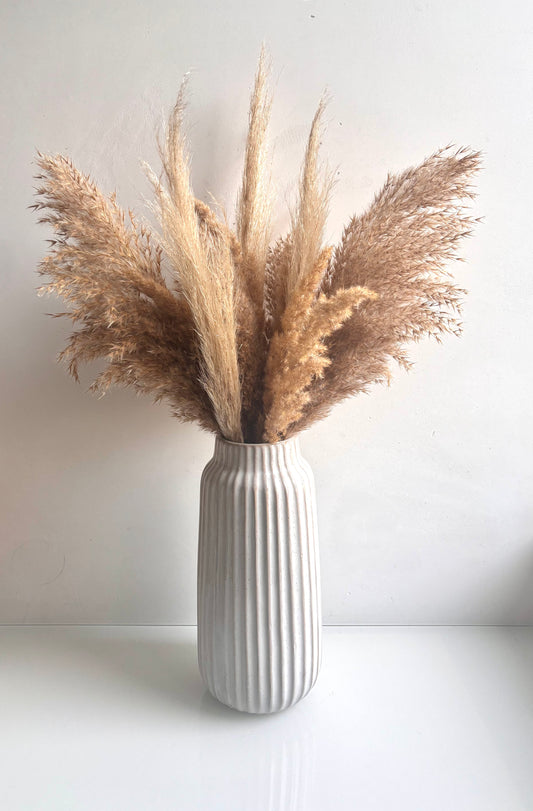 OK - Grote vaas gebroken wit
Verschillende pampas 

€49,90
H 65cm

Voorraad: 1